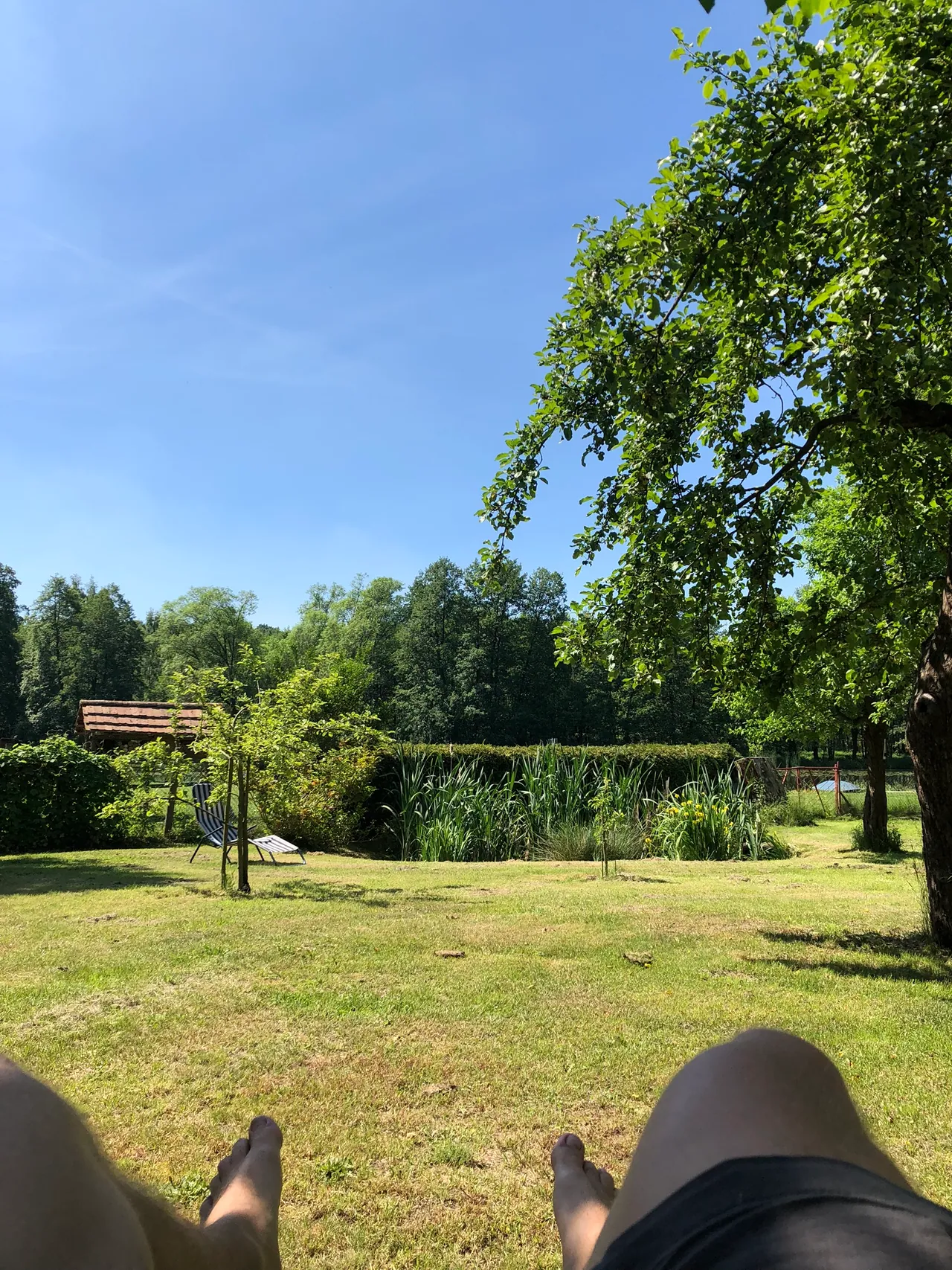 Blick vom Liegestuhl über die Streuobstwiese zum Teich