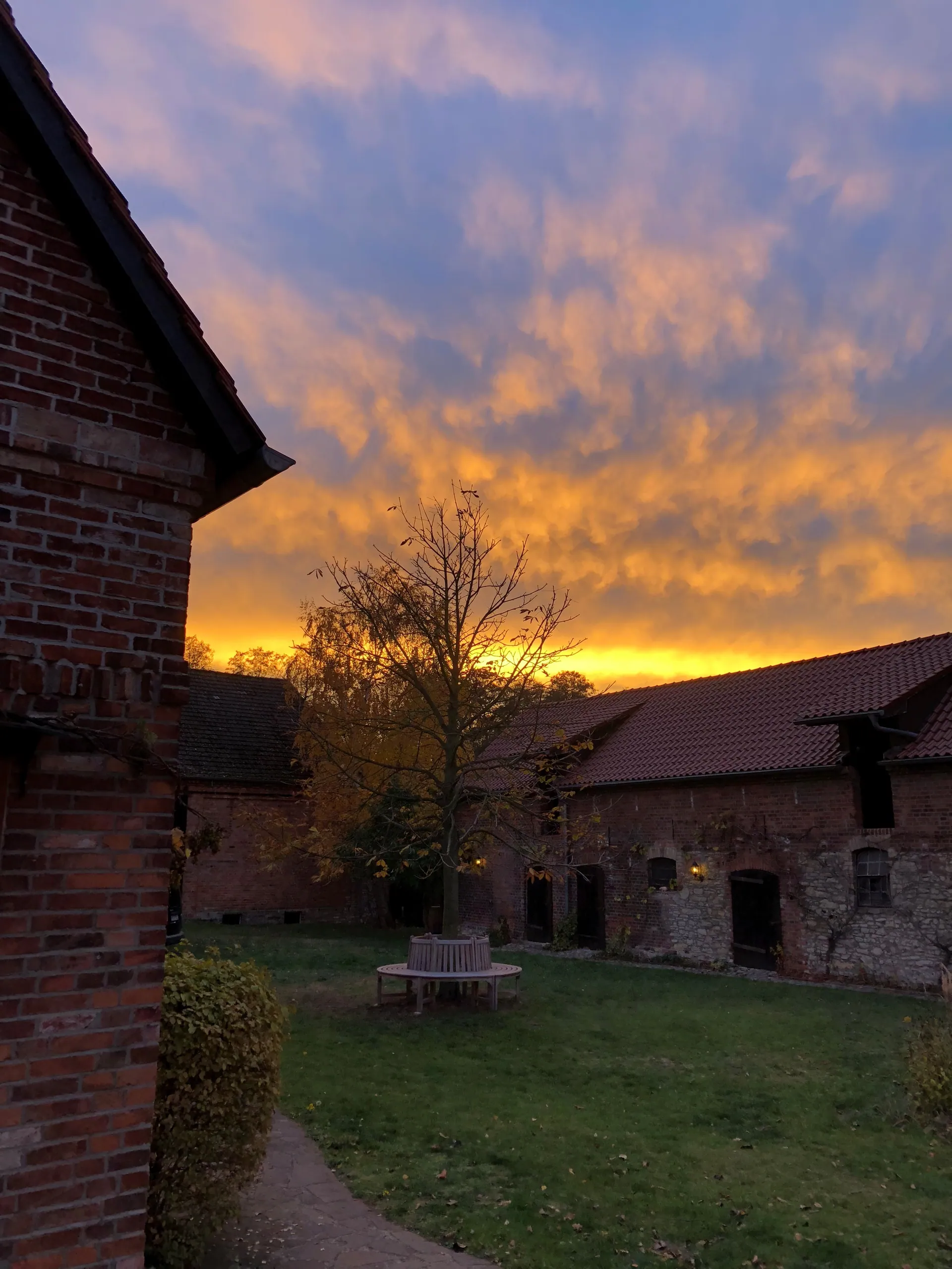 Innenhof des Ferienhofs im Abendrot mit Rundbank unter dem Baum