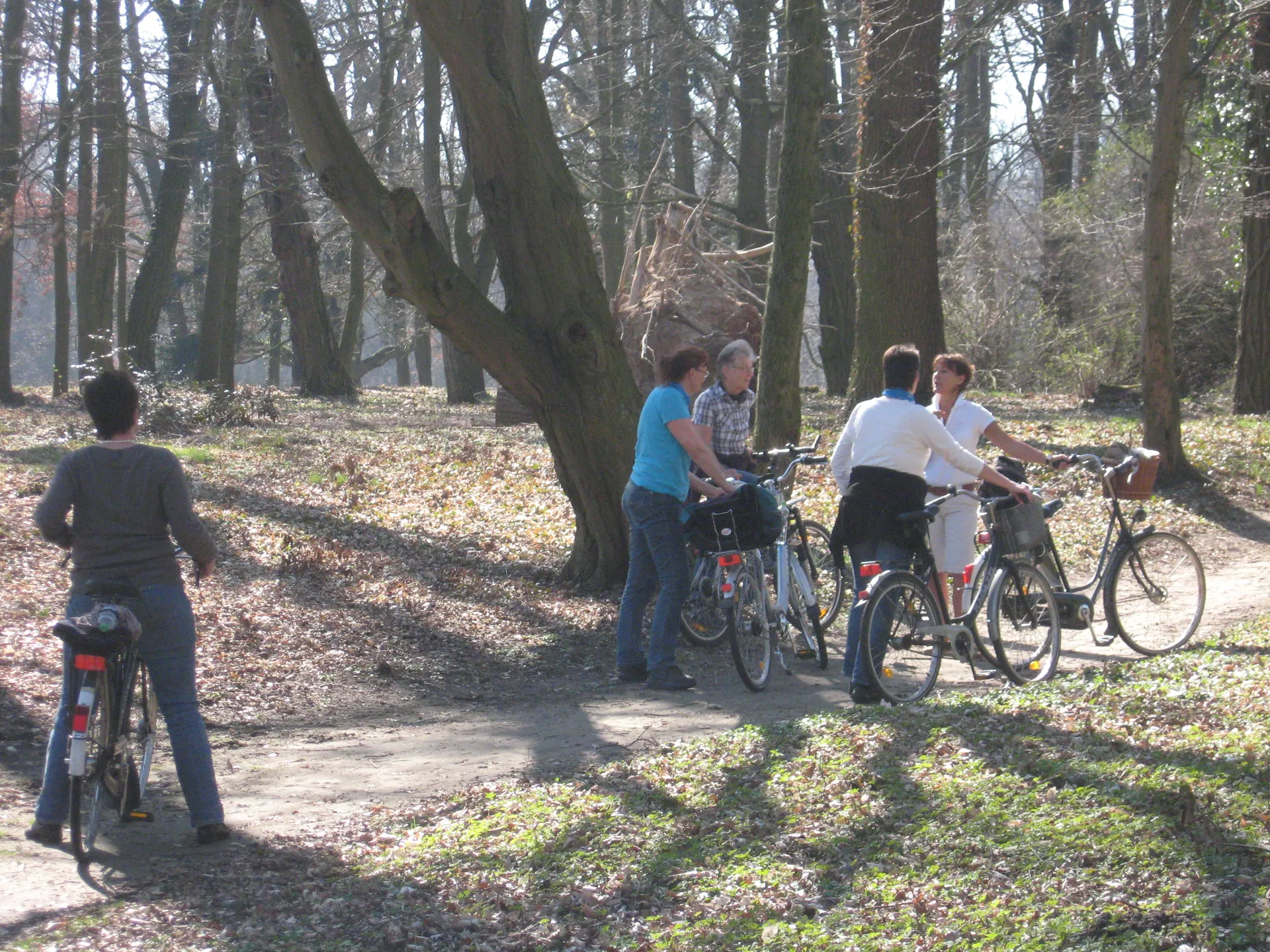 Radfahrer machen Pause auf einem Waldweg in Brandenburg
